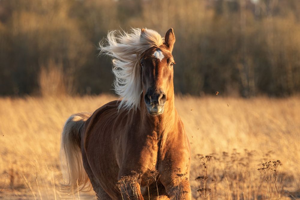 Photograph by Зубкова Юлия