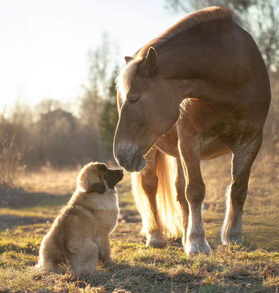 Photograph by Зубкова Юлия