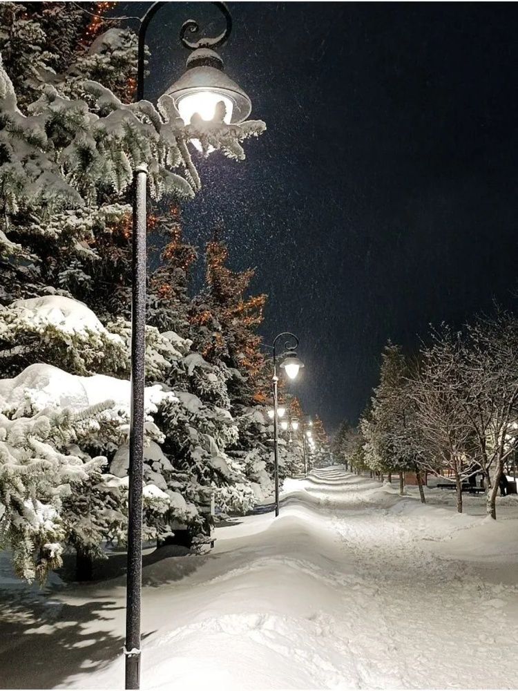 Photograph by Анна Каблашева