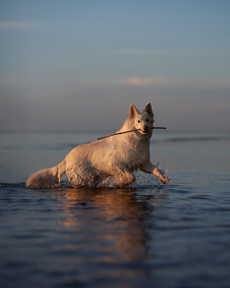 Photograph by Angelina Myasina