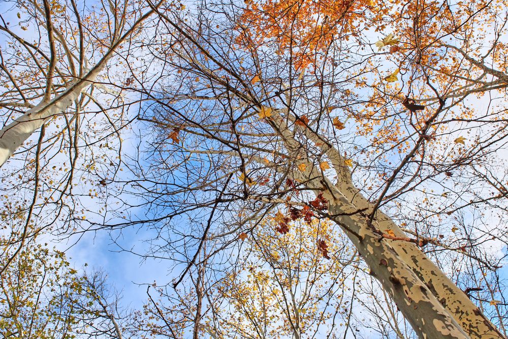 Photograph by Маргарита Яблокова