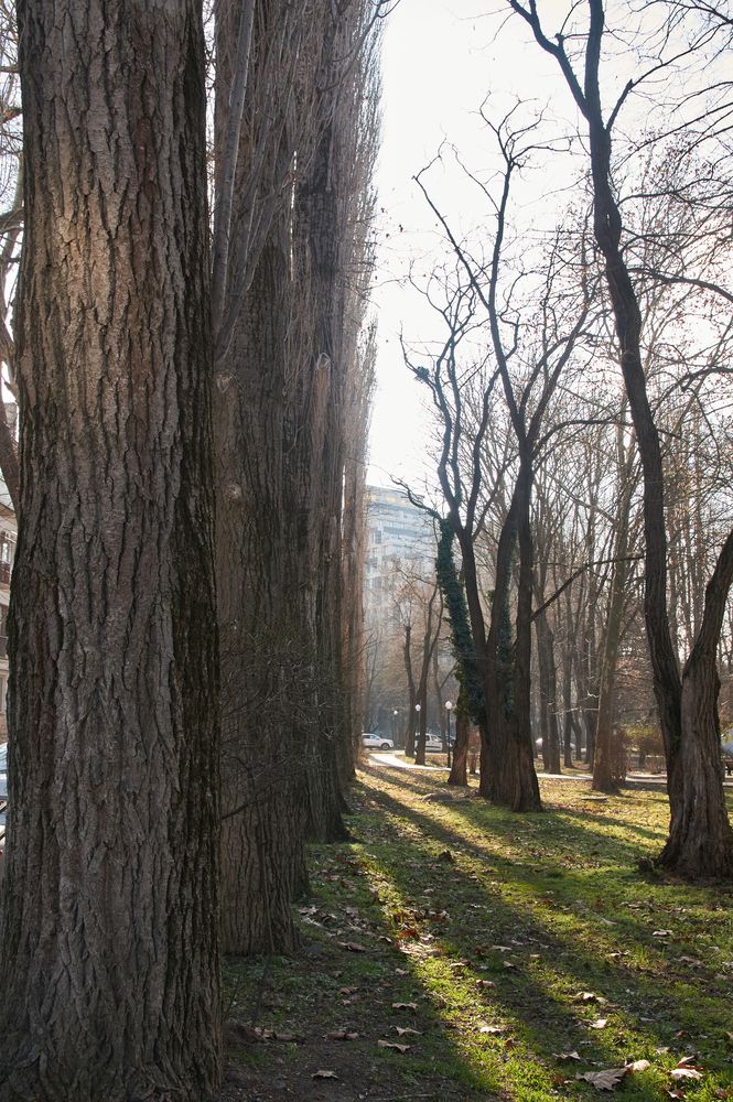 Photograph by Маргарита Яблокова