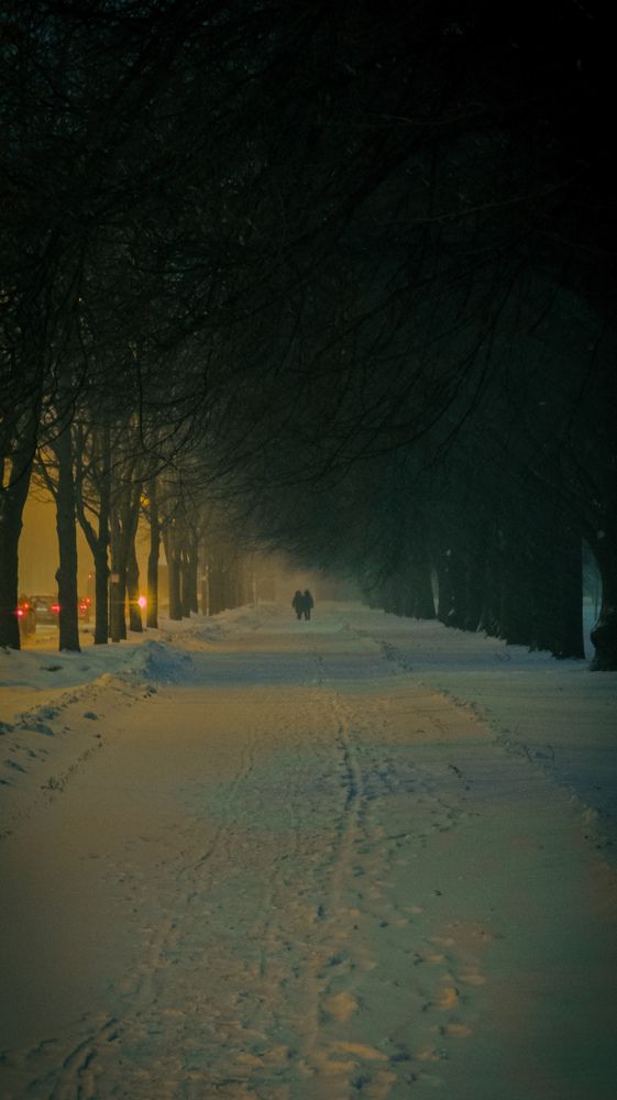 Photograph by Nikita Tsventarny