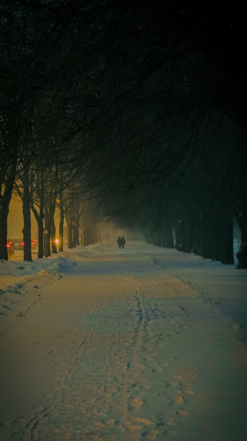 Photo #13044110