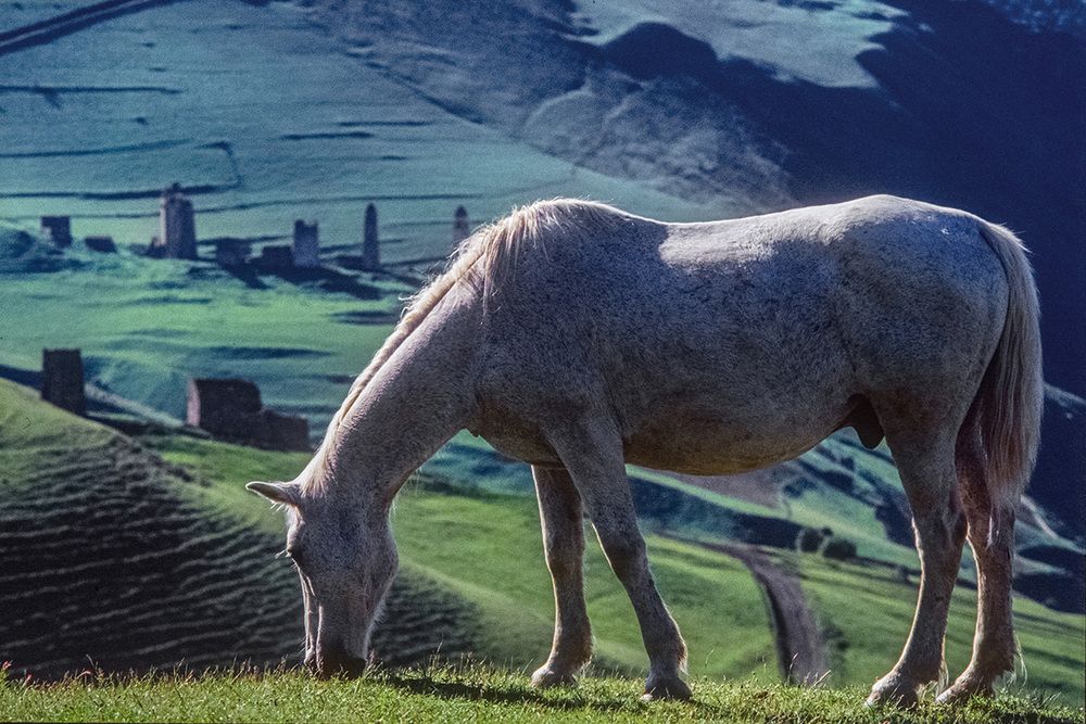 Photograph by Александр Поляков