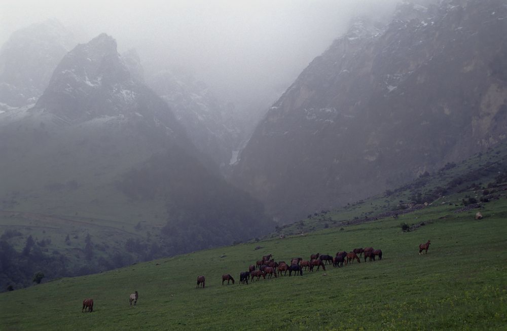 Photograph by Александр Поляков