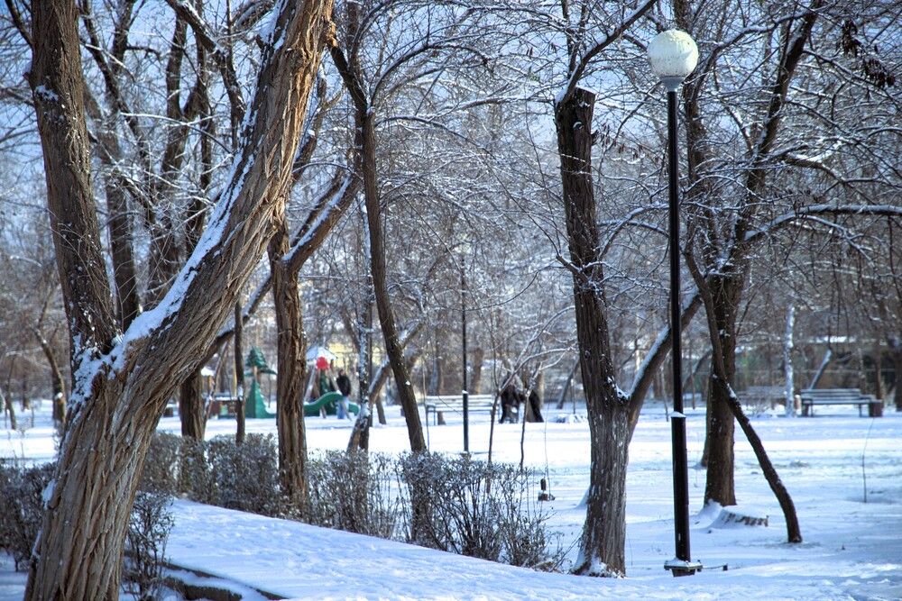 Фотография автора Татьяна Салиева