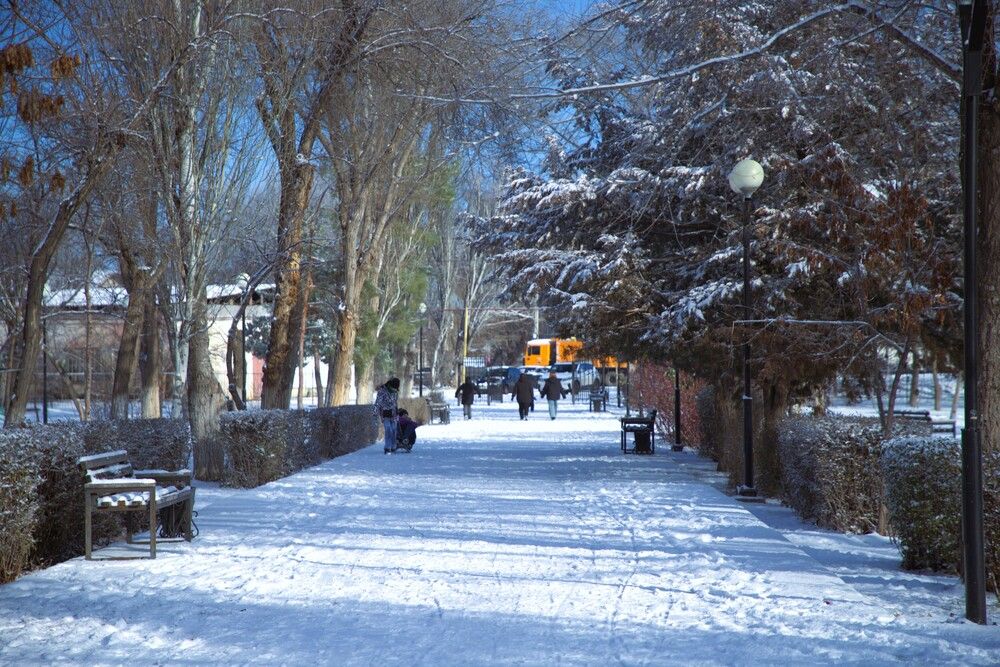 Фотография автора Татьяна Салиева