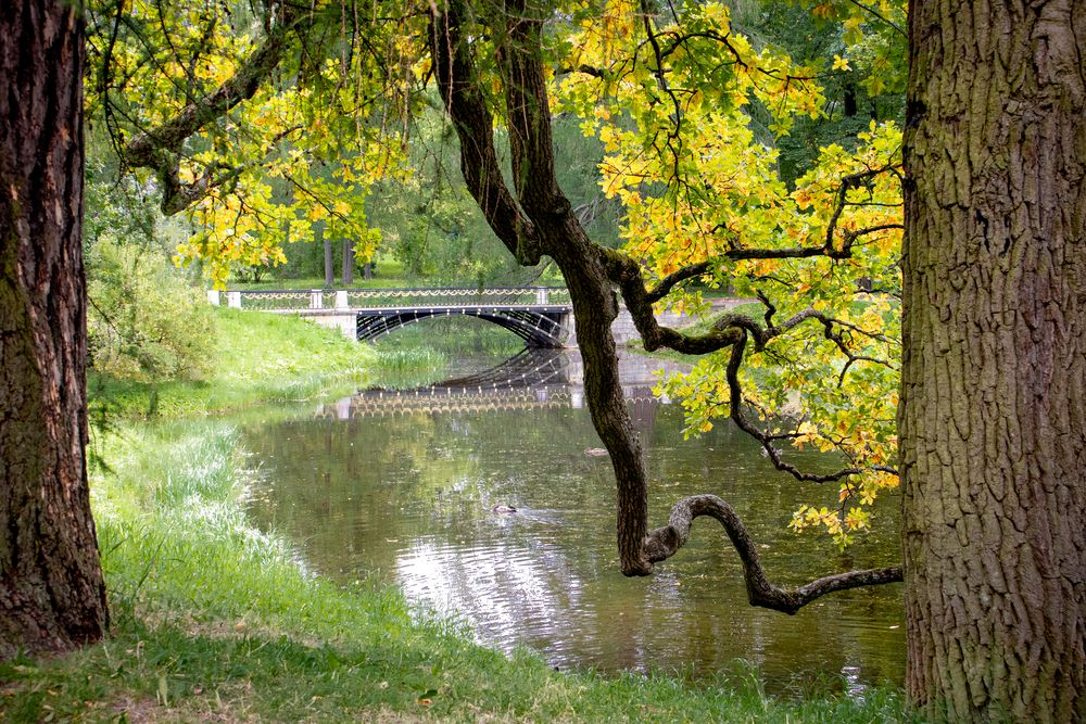 Photograph by Скородумов Вениамин