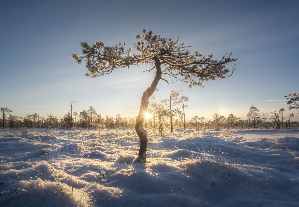 Photograph by Ivan Glinskiy