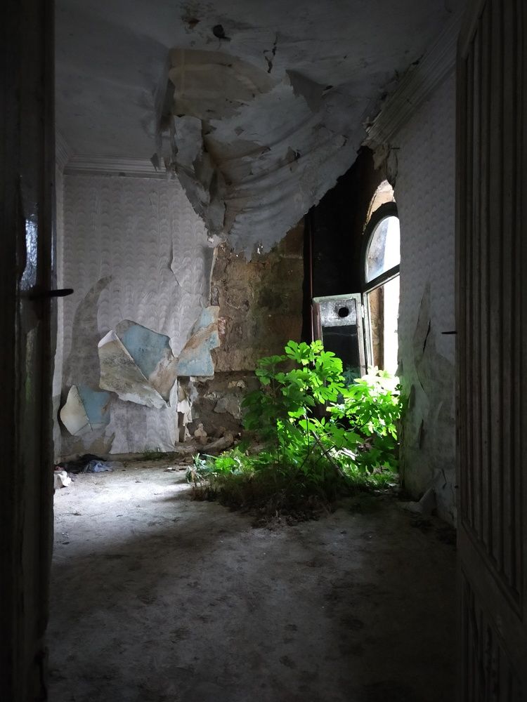 Photo #13044254