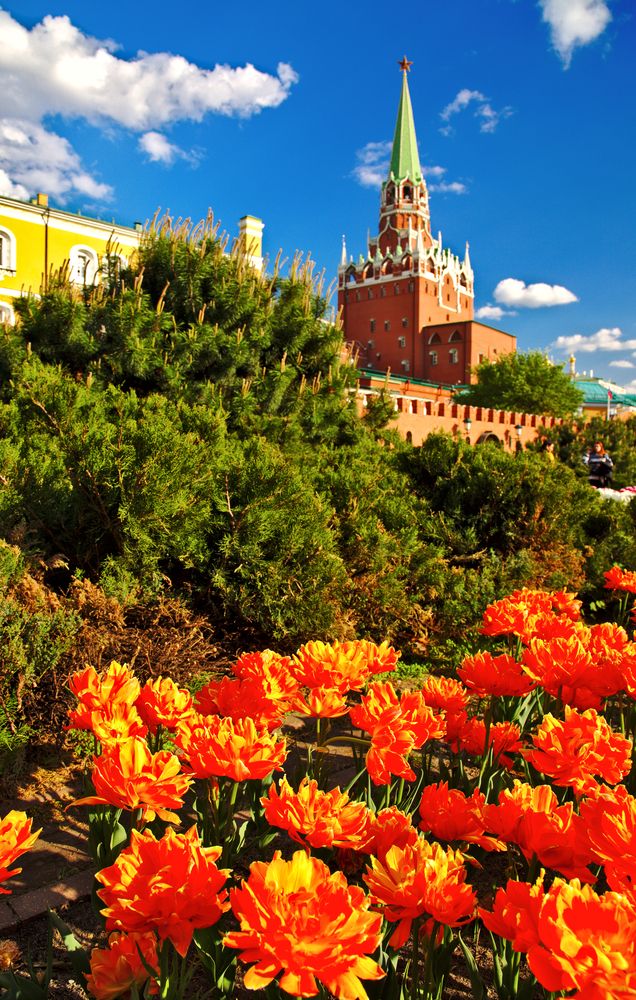 Photograph by Денис Прохоров