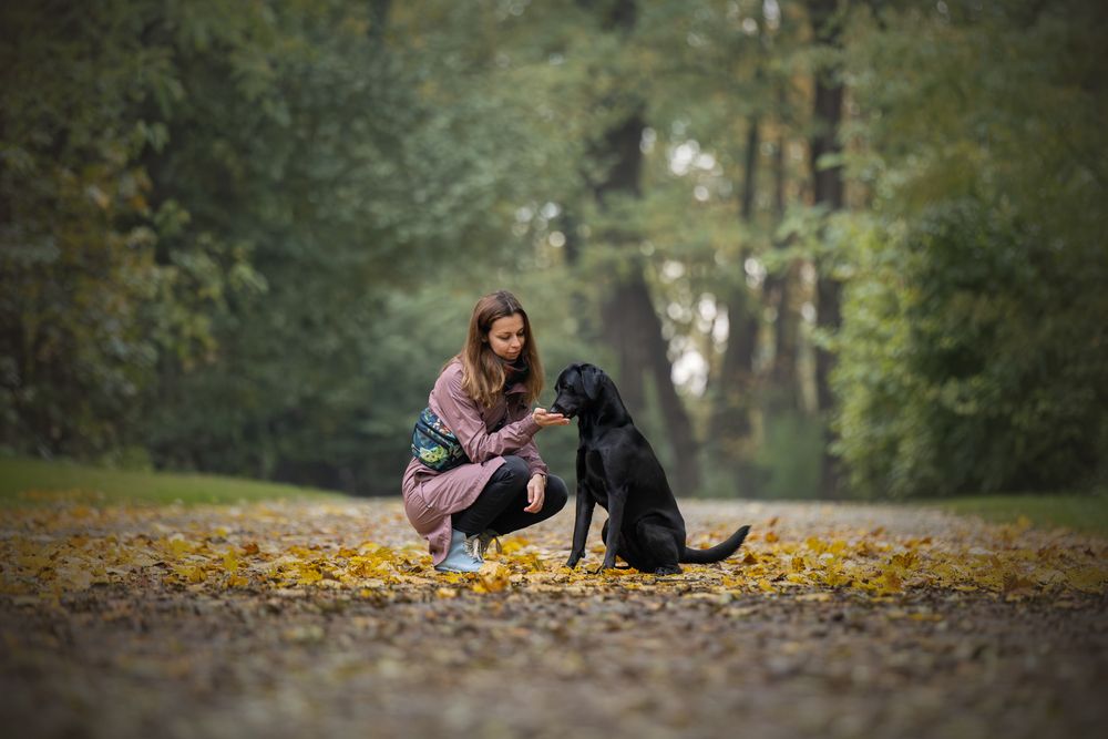 Photograph by Joanna Blecharz