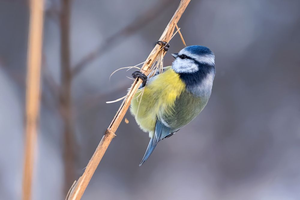 Photograph by Олег Колмаков