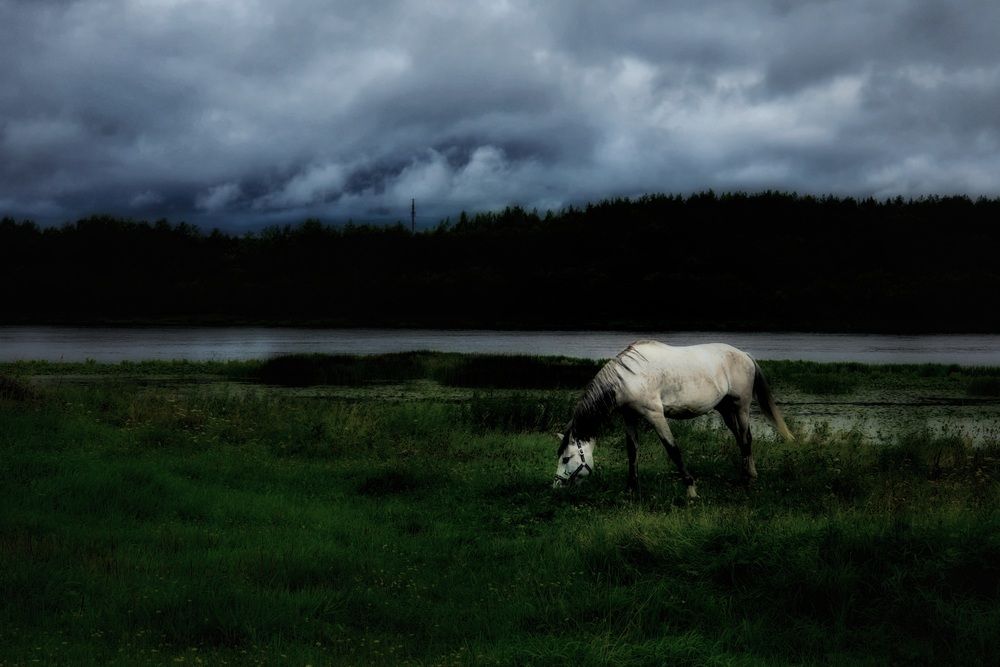 Photograph by Алексей Виноградов