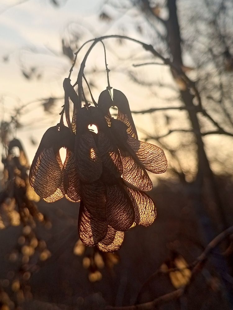 Photograph by НАТАЛЬЯ