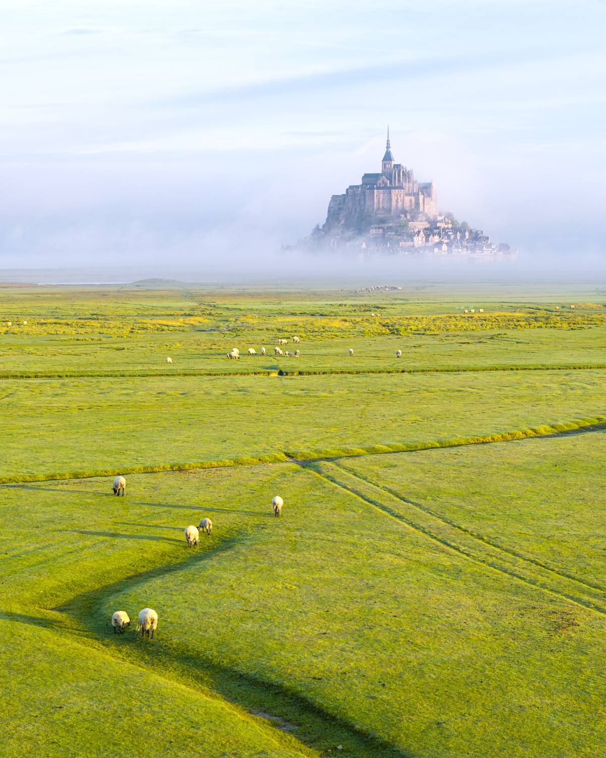 The floating island The floating island