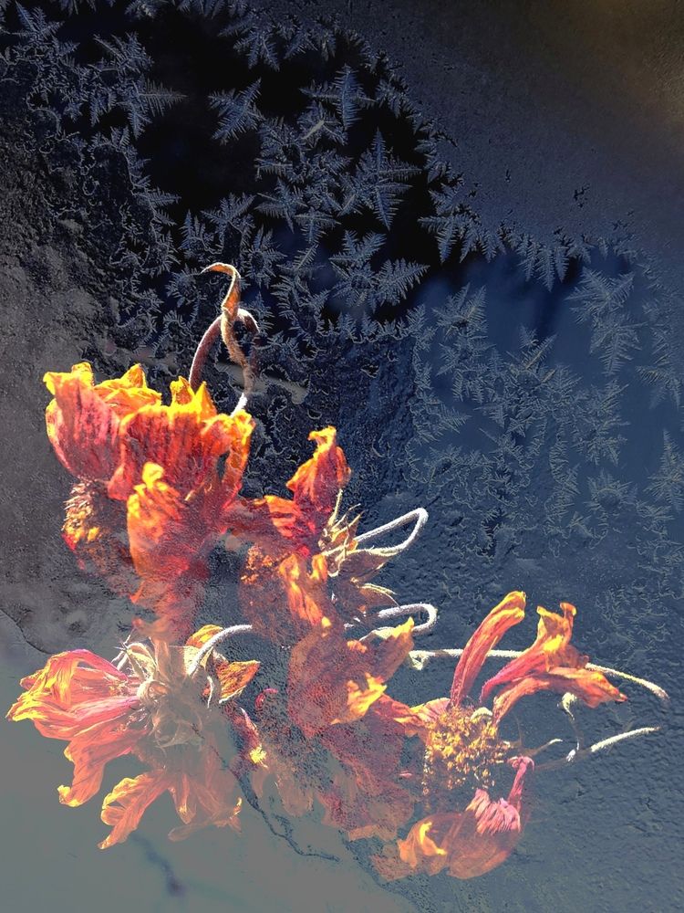 Photograph by Ульяна Кузьмина