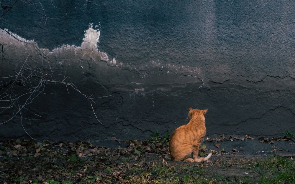 муки творчества.