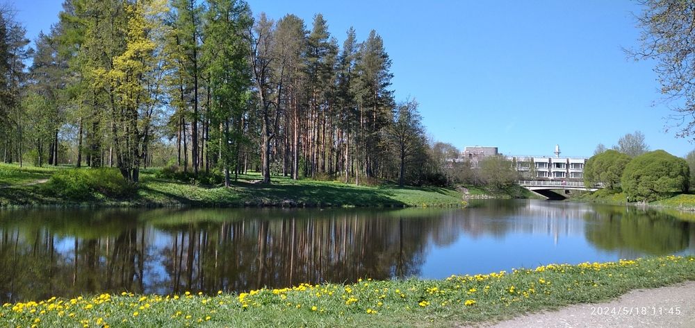Река Кузьминка. Царское село