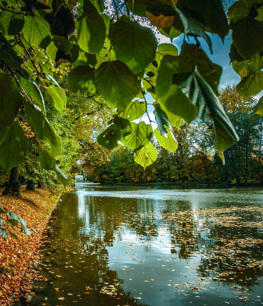 Photograph by Olga Arune