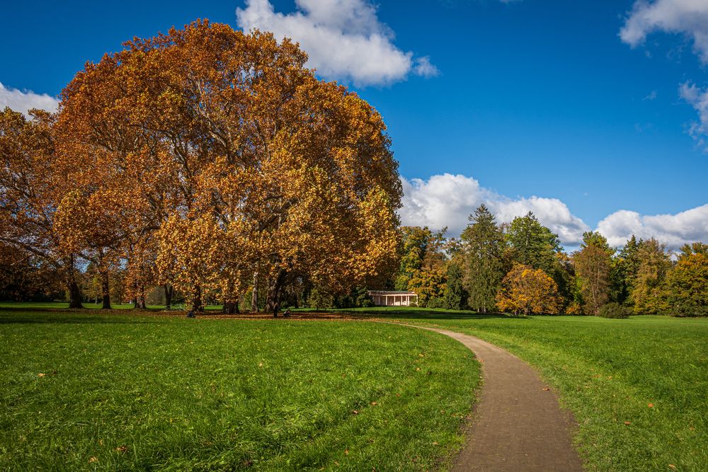 Photograph by Olga Arune