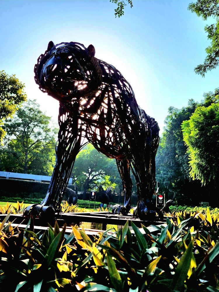 Photograph by G GOVIL