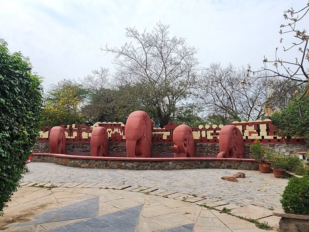 Photograph by G GOVIL