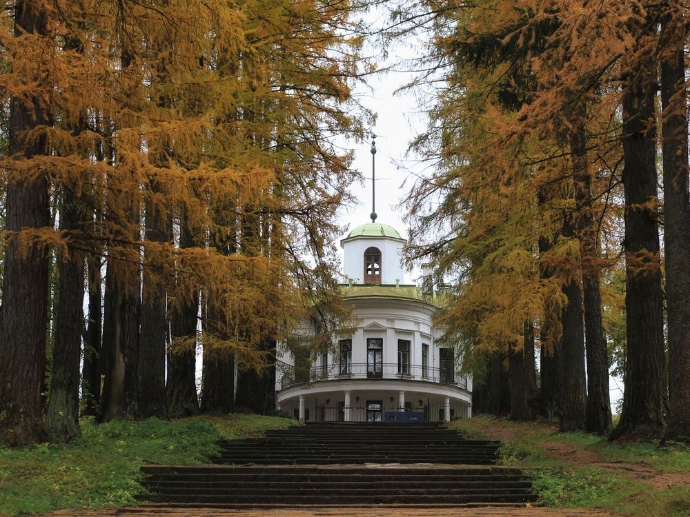 Фотография автора Андрей Шестаков