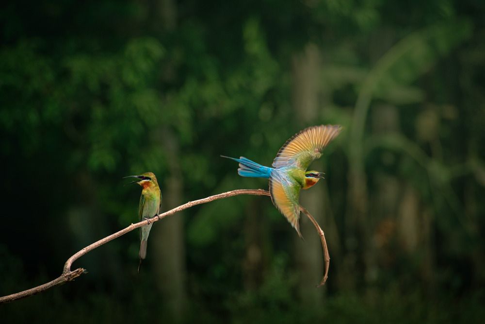 Photograph by SANMITRA BISWAS