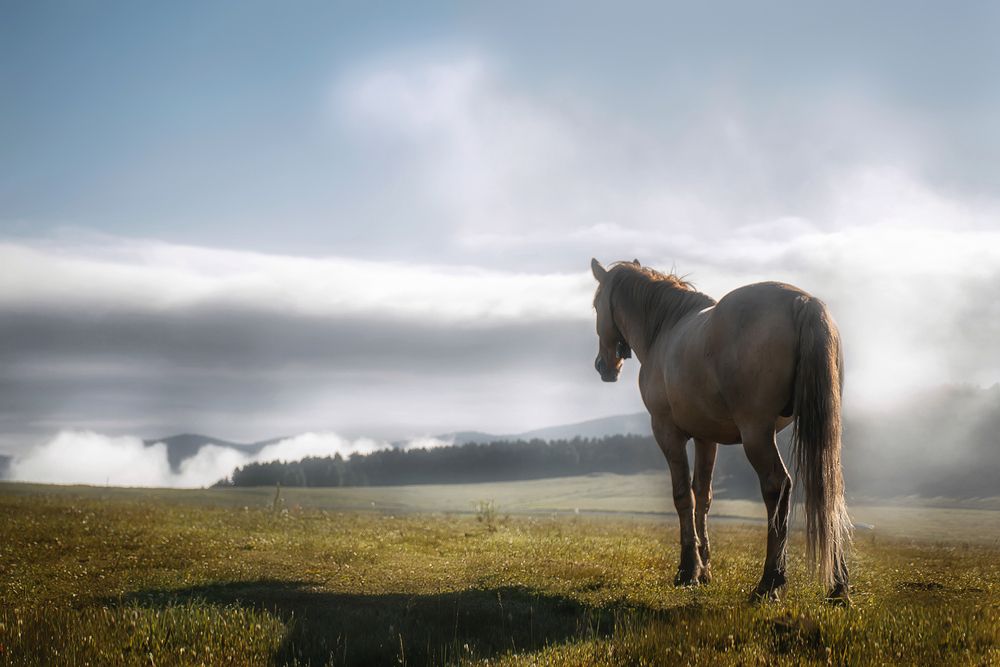 Photograph by Елена Соколова