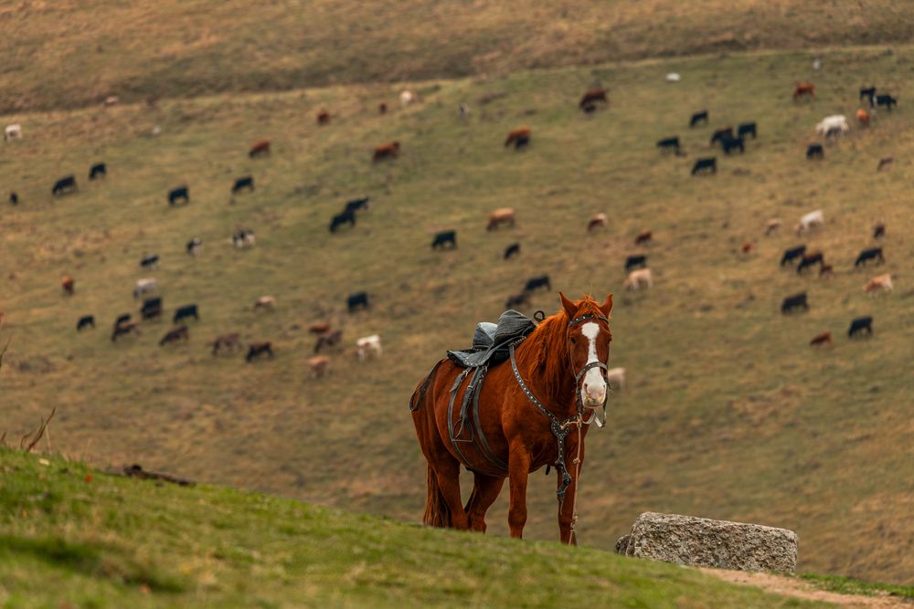 Photograph by Алексей Никитин