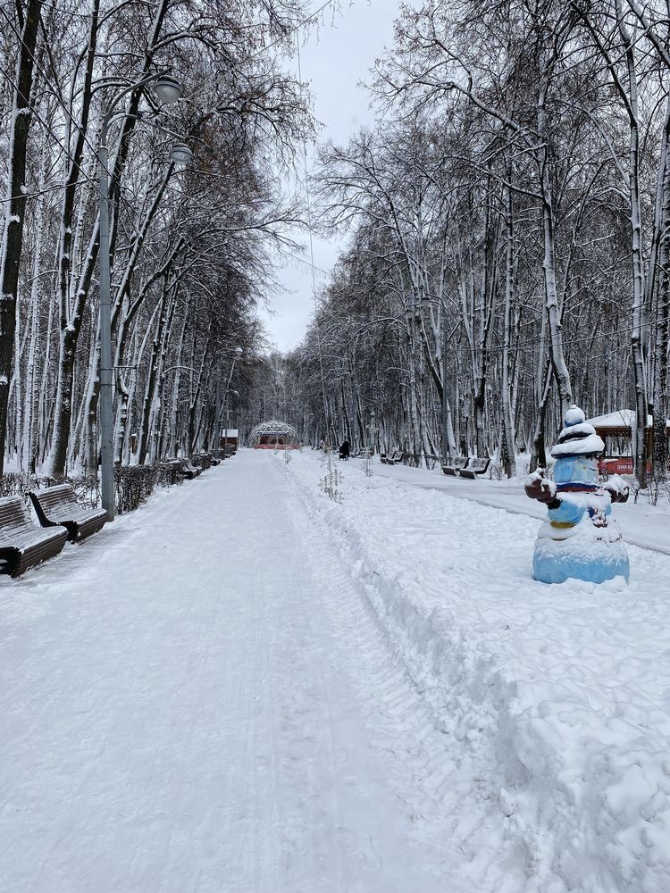 Фотография автора Галина Зубрикова
