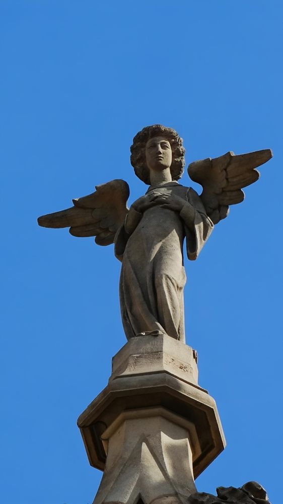 Photograph by Василь Гареев