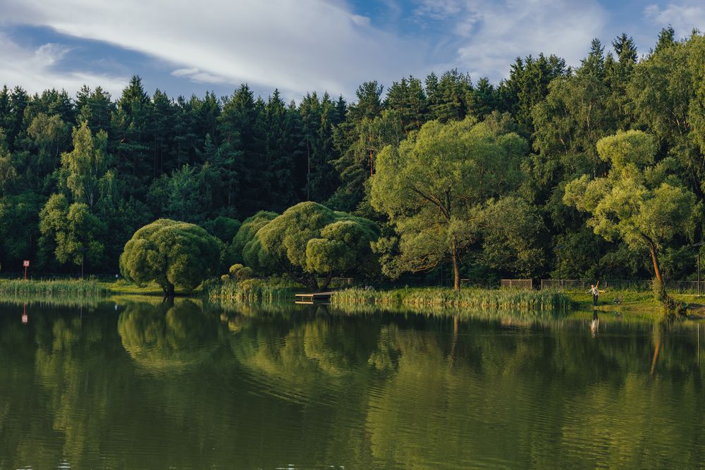 Photograph by Алексей Никитин