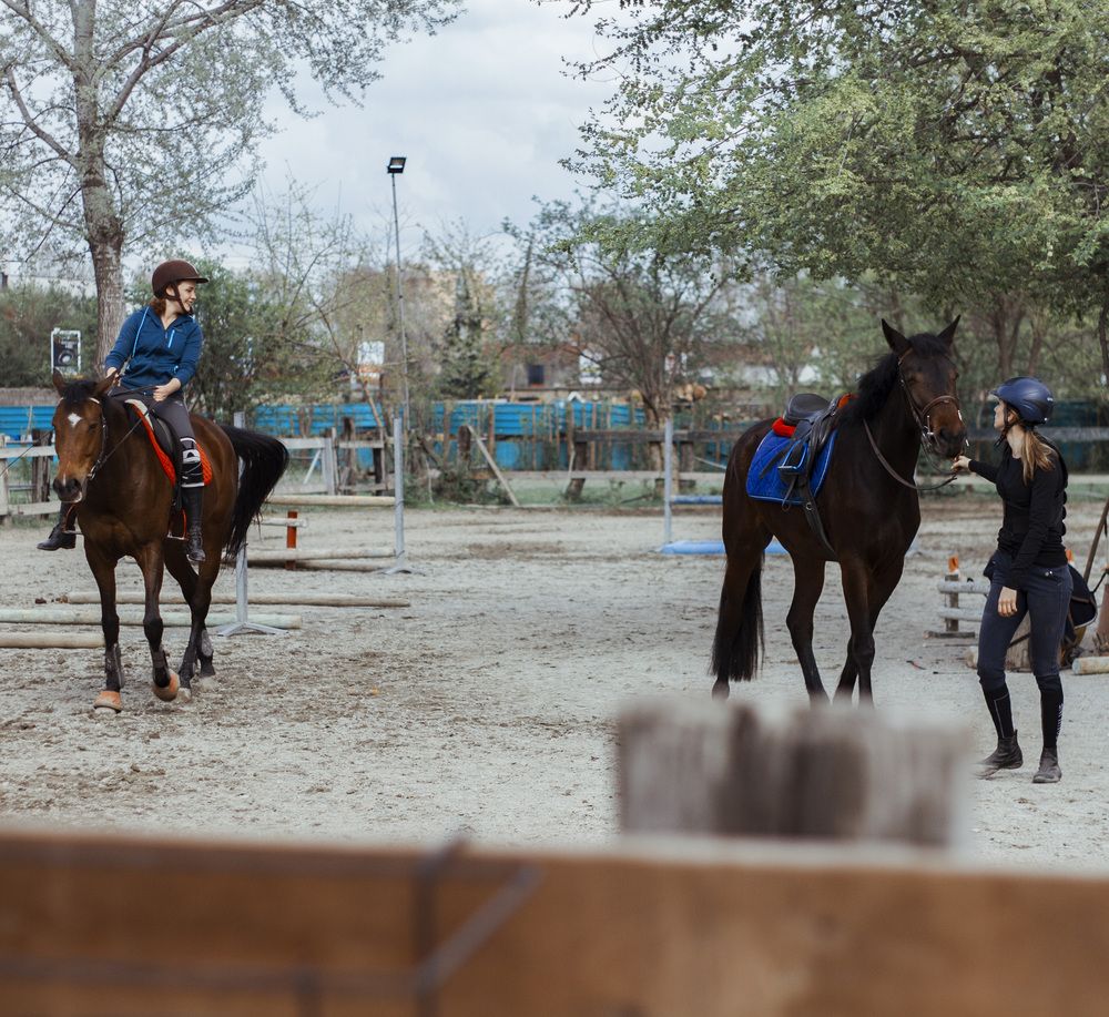 Фотография автора Alessio Rutigliano