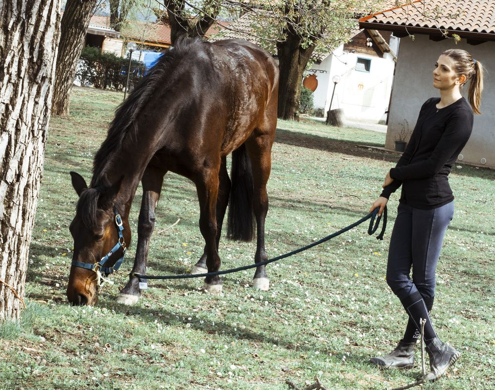 Фотография автора Alessio Rutigliano