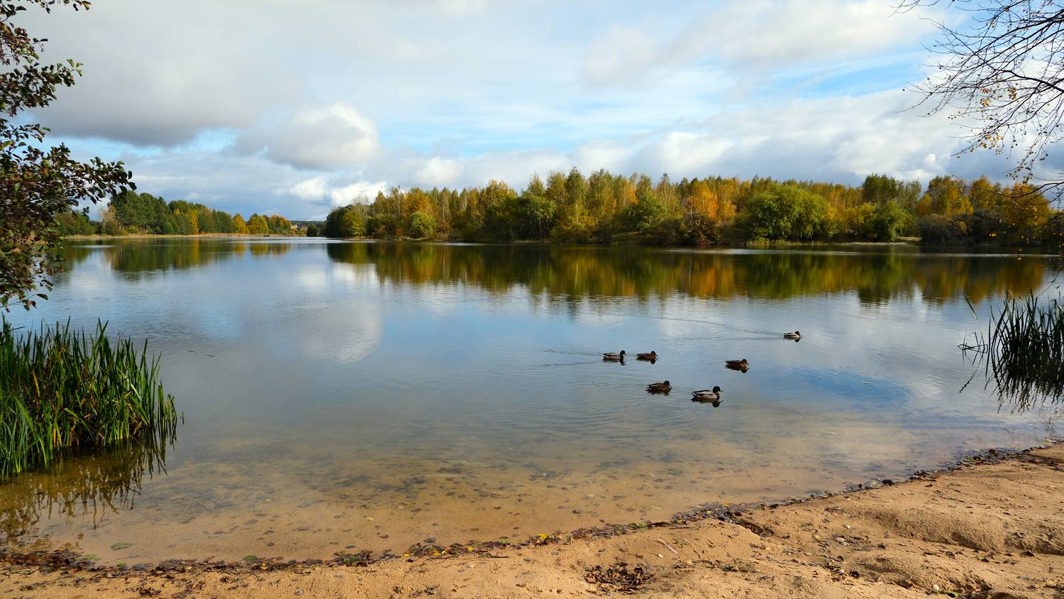 Photo #13044611