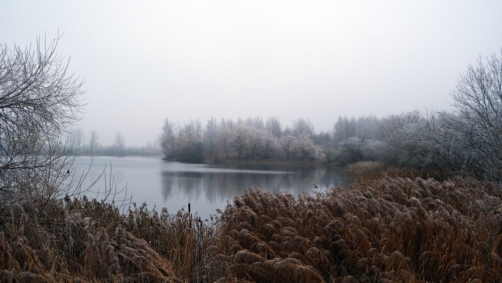 Photograph by Николай Агафонов