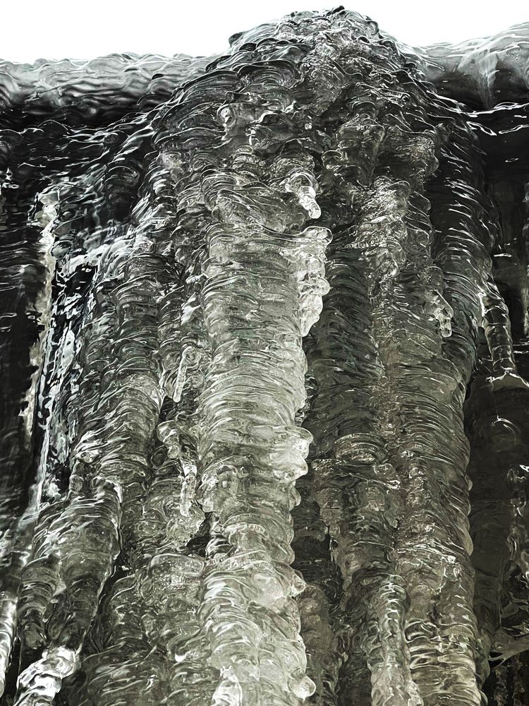 Фотография автора Елизавета Станкевич