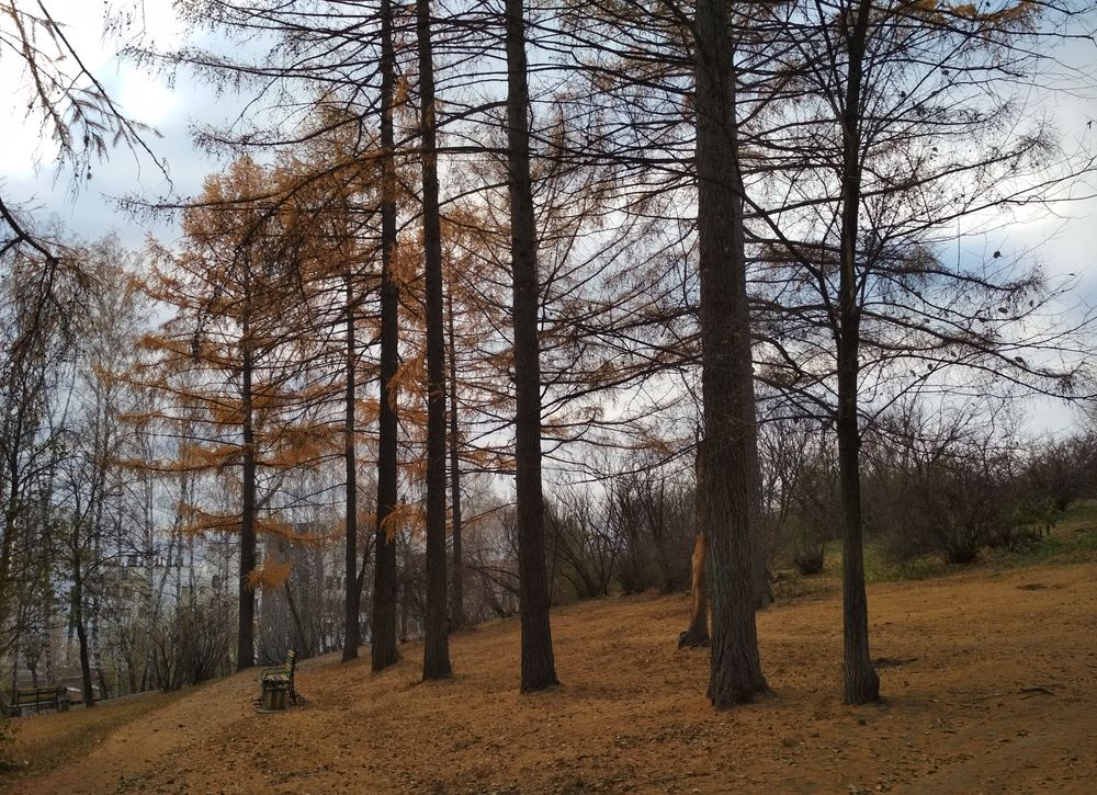 Photograph by Баженова Наталья