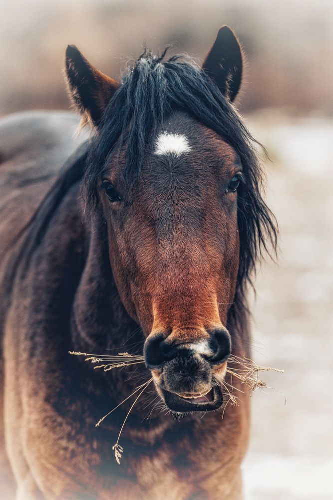 Photograph by Виктория Лобанова