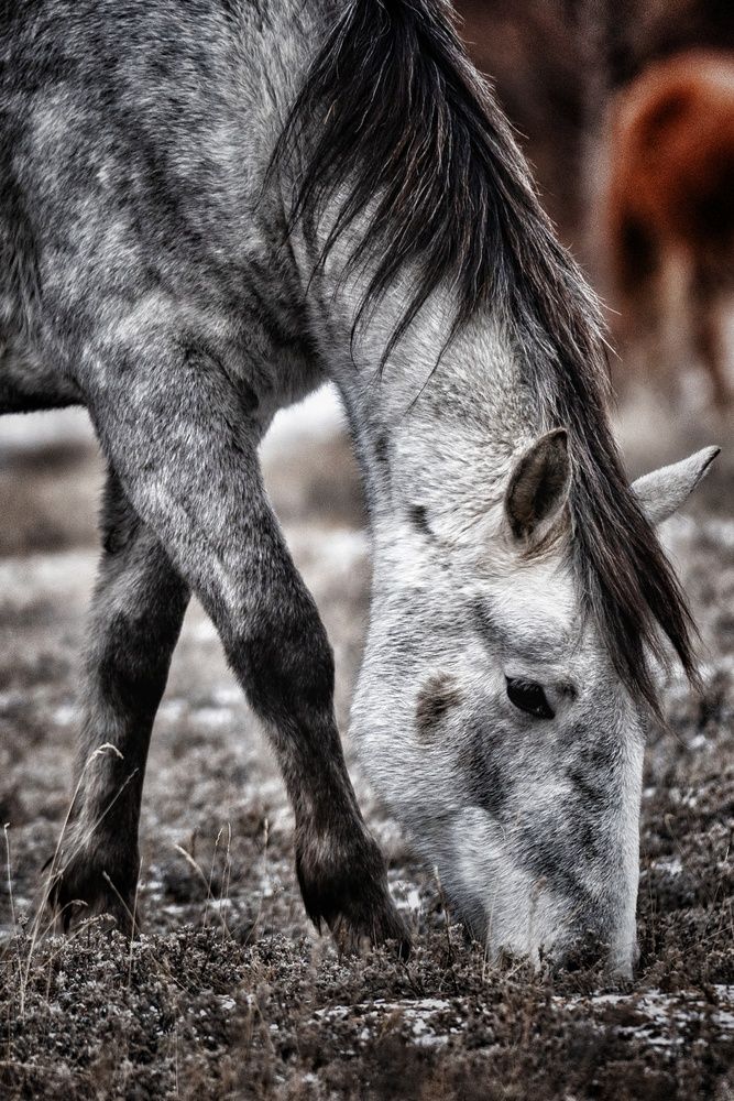 Photograph by Виктория Лобанова