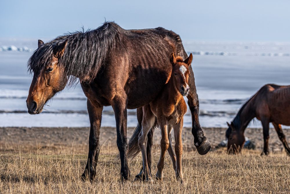 Photograph by Виктория Лобанова