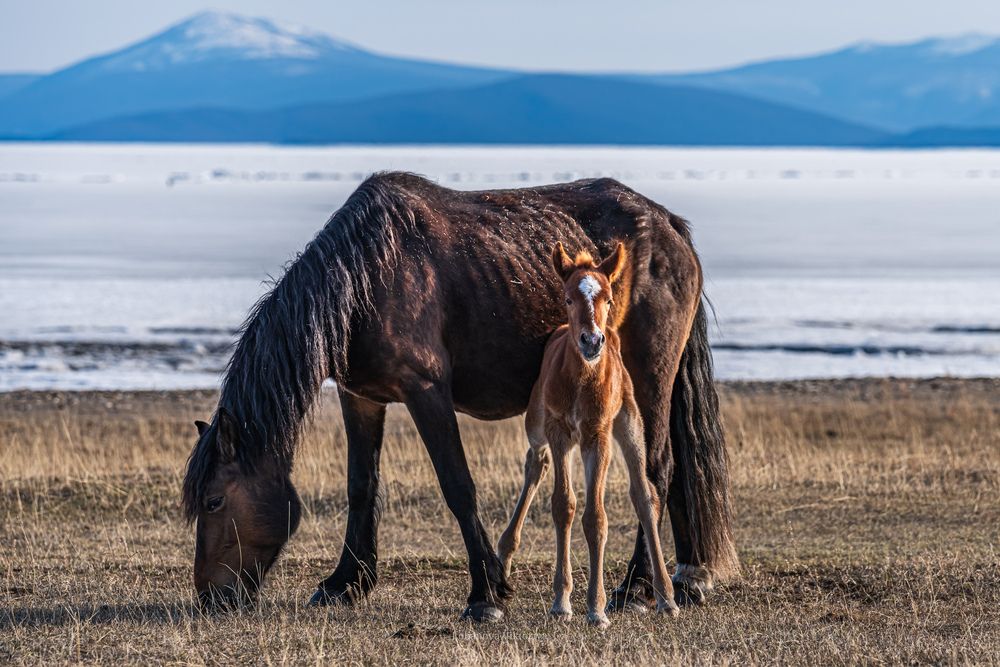 Photograph by Виктория Лобанова