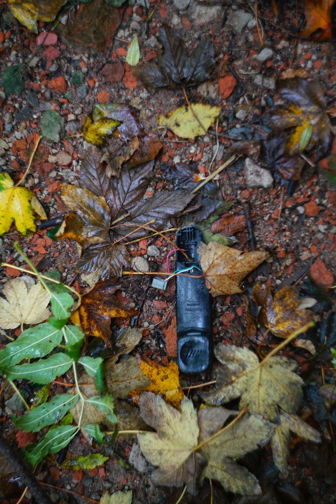 в ожидании ответа...