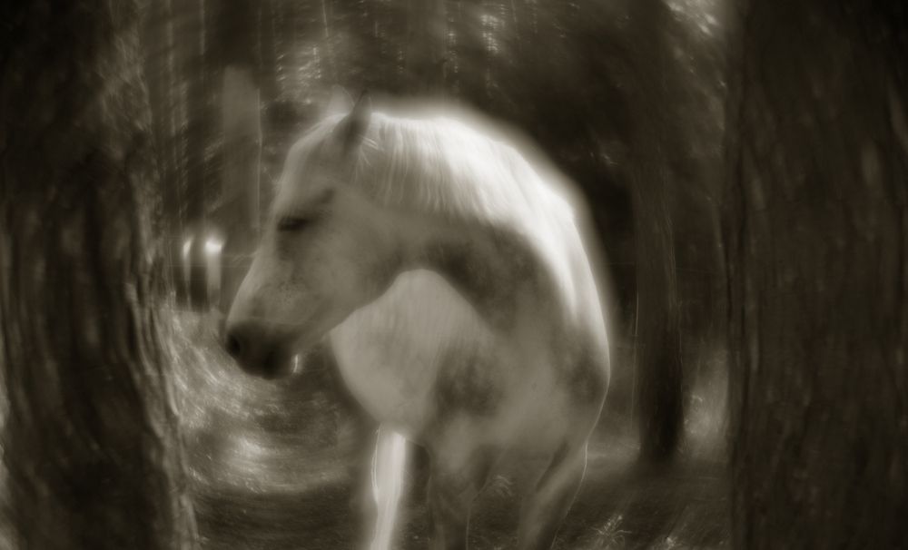 Photograph by Владимир Степин