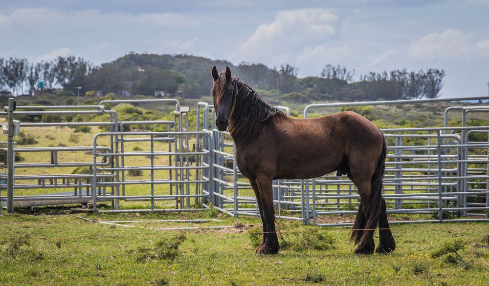 Photograph by Malinda Badenhorst