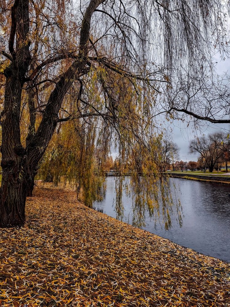 Photograph by Олеся Хижко