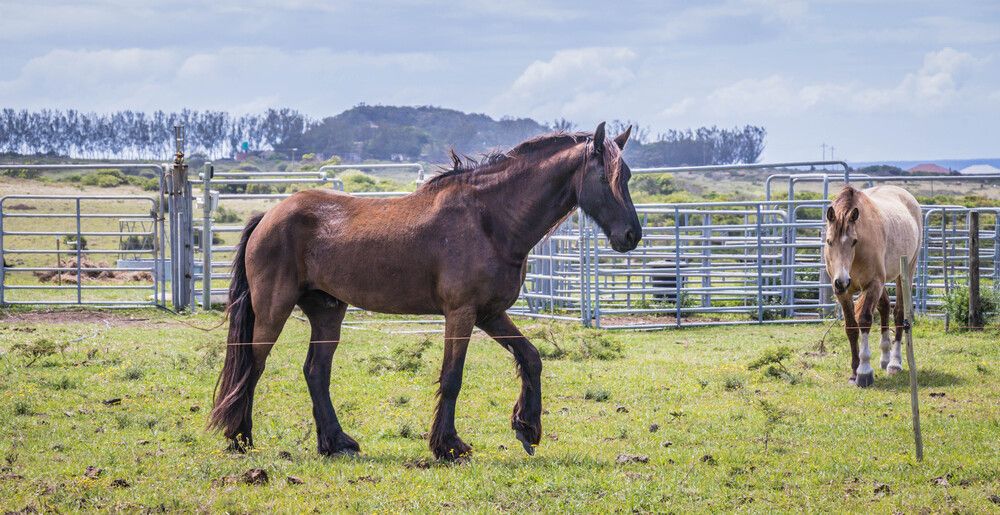 Photograph by Malinda Badenhorst